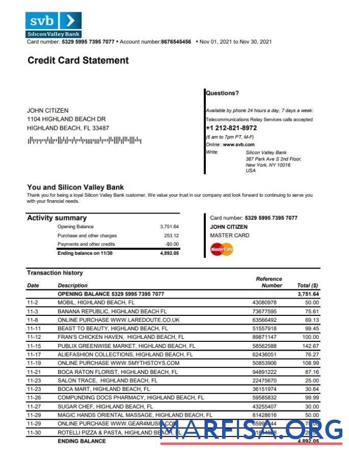 Blank USA Florida Silicon Valley bank credit card statement excel download for verification